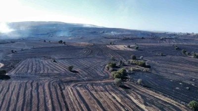 Uzmanı uyardı: &quot;Orman yangınlarına karşı topraktaki nem kapasitesini arttırmalıyız&quot;
