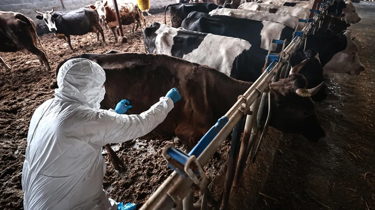 Uzmanlar uyarıyor, Risk var ama kontrol tedbirleri belirleyici