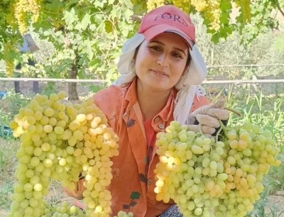 Üzüm yiyin, hastalıklardan korunun
