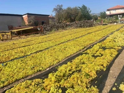 Üzümde fiyat belirsizliği hem üreticiyi hem de çalışanları tedirgin ediyor
