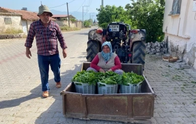 &Uuml;z&uuml;mden &ouml;nce yaprak kazandırdı
