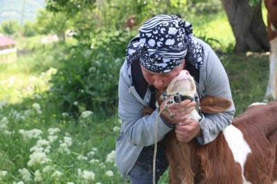 &Uuml;z&uuml;ml&uuml;&rsquo;de yabancı gelin hayvancılığa renk kattı
