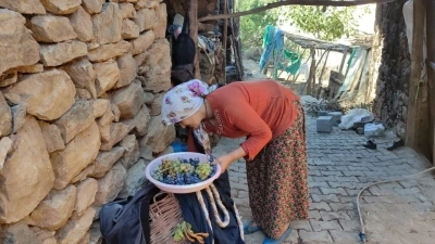 Uzun kış gecelerinde tüketmek için meyveler kurutuluyor
