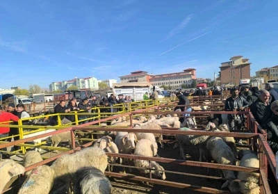 Uzun süredir kapalı olan canlı hayvan pazarı açıldı
