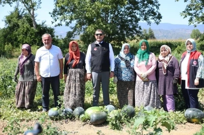 Vali Aslan, uygulama tarlasında incelemelerde bulundu
