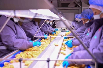 Vali Canbolat, Köşk’te gıda tesisini inceledi
