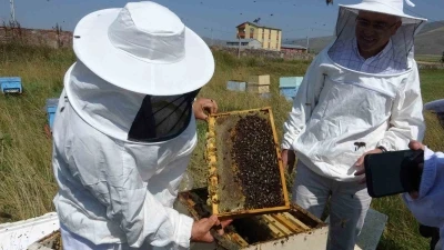 Vali Çiçek, ilk bal sağımını gerçekleştirdi
