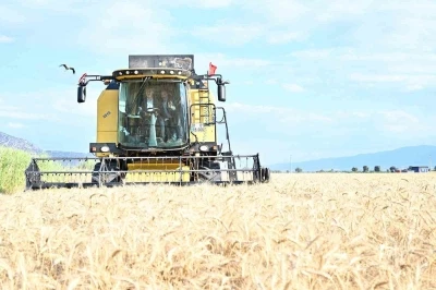Vali K&ouml;şger Acıpayam&rsquo;da bereket hasadına katıldı

