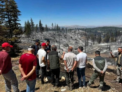 Vali Mehmet Fatih Çiçekli: &quot;Yangın tamamen kontrol altına alındı&quot;
