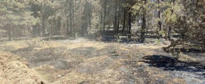 Vali Özarslan: &quot;Yangın nedeniyle tahliye edilenler köylerine dönebilir&quot;
