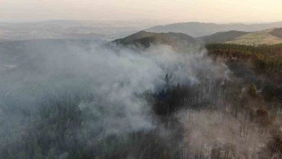 Vali Taşolar’dan orman yangınını ihbar eden çocuğa teşekkür
