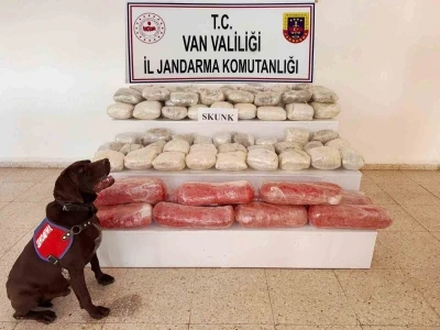 Van’da 61,9 kilogram skunk ele geçirildi
