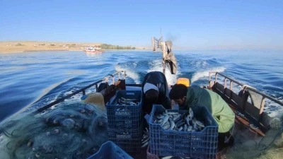 Van&rsquo;da 90 g&uuml;nl&uuml;k inci kefali av yasağı sona erdi

