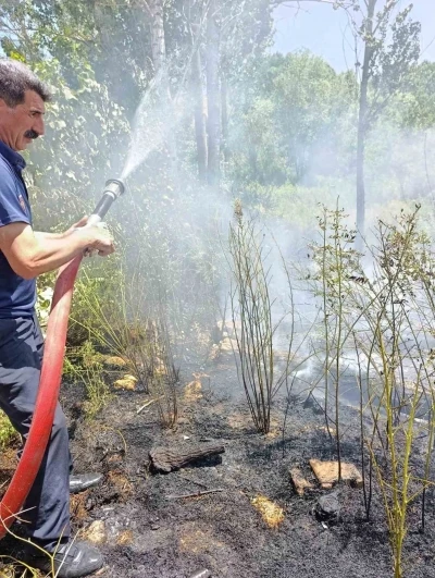 Van&rsquo;da ağa&ccedil;lık alanda yangın
