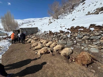 Van&rsquo;da ahırda feci yangın: 67 k&uuml;&ccedil;&uuml;kbaş hayvan telef oldu
