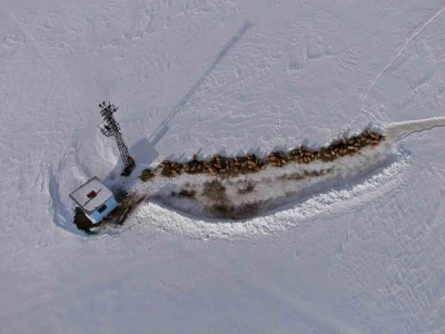 Van&rsquo;da besicilerin karda zorlu mesaisi s&uuml;r&uuml;yor
