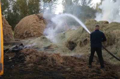 Van’da bin bağ ot yandı
