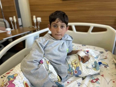Van&rsquo;da bir hafta arayla 3&rsquo;&uuml;nc&uuml; k&ouml;pek saldırısı: 11 yaşındaki &ccedil;ocuk yaralandı
