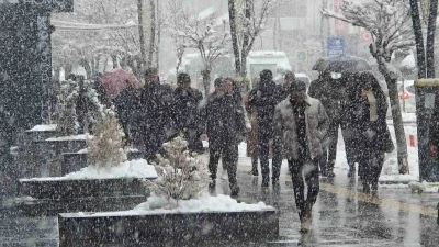 Van&rsquo;da kar yağışı ve sis etkili oluyor
