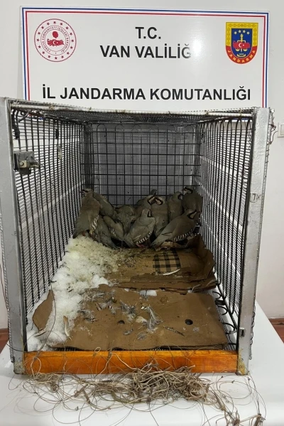 Van&rsquo;da keklik avına 75 bin 303 TL idari para cezası

