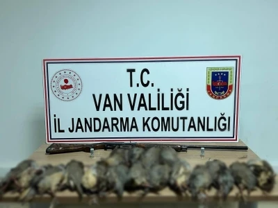 Van&rsquo;da keklik avına 87 bin TL idari para cezası
