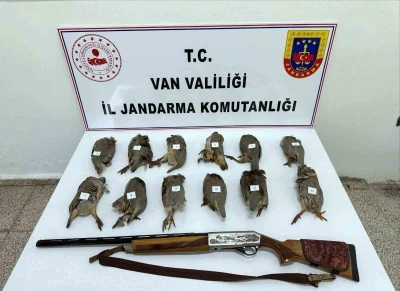Van&rsquo;da keklik avlayan kişiye 81 bin TL ceza

