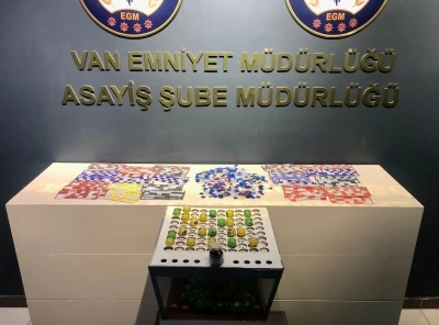 Van’da kesinleşmiş hapis cezası bulunan 110 kişi tutuklandı
