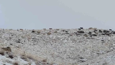 Van’da kış yüzünü gösterdi: Erek Dağı ve çevresi beyaza büründü
