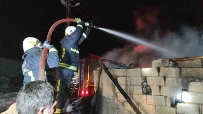 Van&rsquo;da korkutan ahır yangını: 3 inek son anda kurtarıldı
