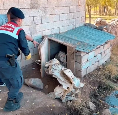 Van’da kurdu zincirle bağlayan şahsa 81 bin 355 TL para cezası
