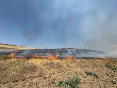 Van’da kuru ot yangını: Yüzlerce dönüm arazi kül oldu
