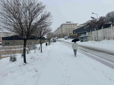 Van&rsquo;da mart ayı kapıdan baktırdı: Kar yağışı ulaşımı durdurdu
