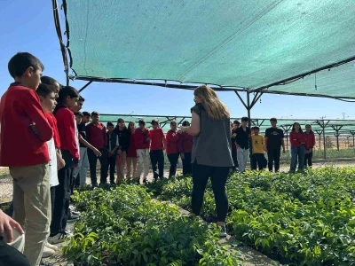 Van’da öğrenciler doğa bilinci için fidan dikecek
