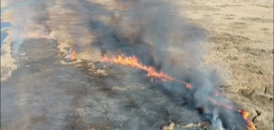 Van’da sazlık yangını
