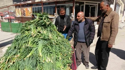 Van&rsquo;da şifa kaynağı &lsquo;&ccedil;iriş otu&rsquo; tezgahlardaki yerini aldı
