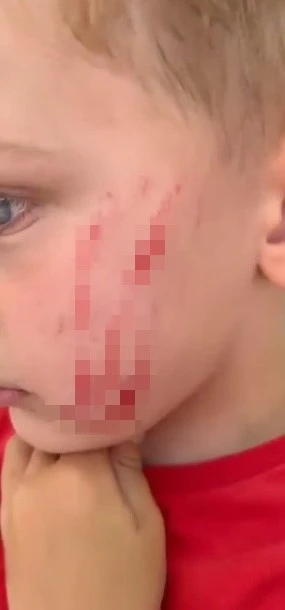 Van&rsquo;da sokakta oynayan &ccedil;ocuğa saldırı: O anlar kamerada
