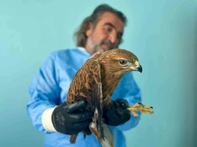 Van G&ouml;l&uuml; Havzası&rsquo;ndaki yaban hayatı emin ellerde
