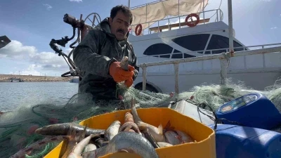 Van G&ouml;l&uuml;&rsquo;nde inci kefali i&ccedil;in av yasağı: Ka&ccedil;ak avlanmanın cezası 16 bin TL
