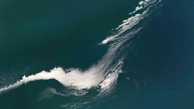 Van G&ouml;l&uuml; y&uuml;zeyindeki k&ouml;p&uuml;klenme şaşırttı
