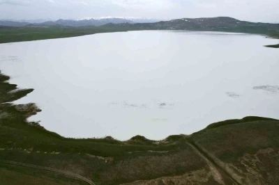 Van&rsquo;ın kuş cenneti Akg&ouml;l misafirlerini bekliyor

