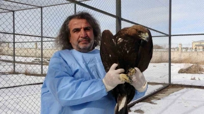 Van YY&Uuml;&rsquo;de yırtıcı kuşlar şifa bulup doğaya d&ouml;n&uuml;yor
