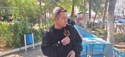 Vatandaşın köpeklerden kurtardığı karga ilçenin maskotu oldu
