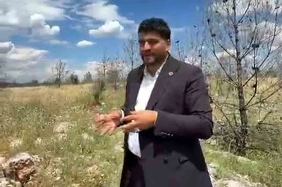 Vatandaşlardan ormanlık alana arazi yolu talebi