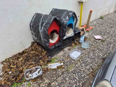 Vatandaşlardan sokak hayvanları i&ccedil;in &ouml;rnek davranış
