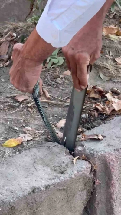 Vatandaştan yılan kurtarma operasyonu
