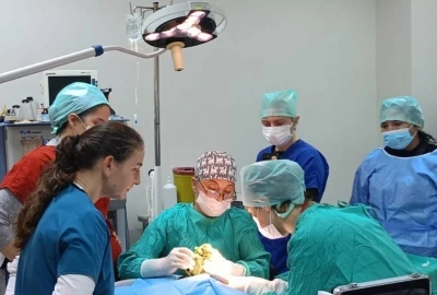 Veteriner Fak&uuml;ltesinde 3 bin hayvana şifa
