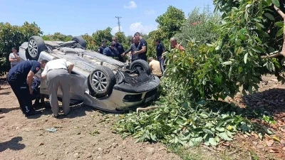 Viraj alamayan otomobil avokado bah&ccedil;esine u&ccedil;tu
