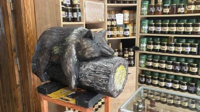 Viral olan ayı, satışları katladı: Balcı d&uuml;kkanının başk&ouml;şesine &rsquo;bayılan ayı&rsquo; dekoru yerleşti
