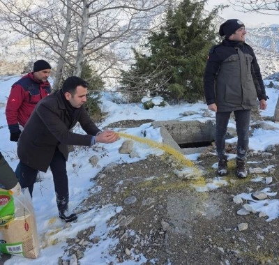 Yabani hayvanlar i&ccedil;in doğaya yem bırakıldı