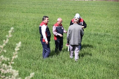 Yağışlar sonrası &ccedil;ift&ccedil;ilere hububat tarlalarında hastalık riski uyarısı: "Hastalık &ccedil;ıkmadan &ouml;nce alınan tedbirler verimi korur"
